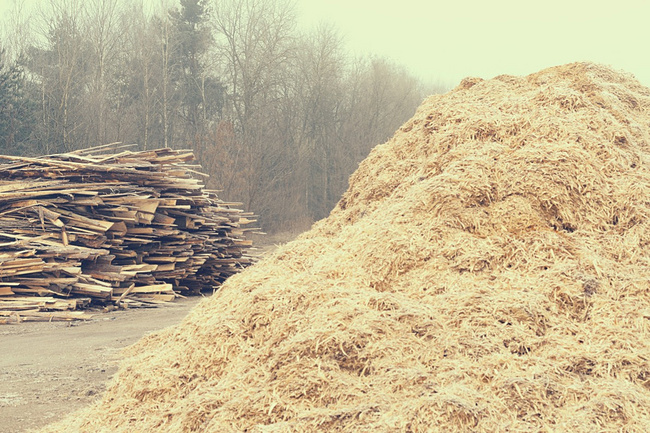 Ископаемое горючее на Крайнем Севере предложили заменить древесными отходами